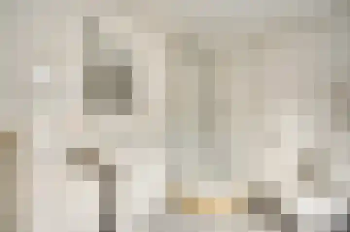 Napoleonsweg 110 Neer thumbnail 19
