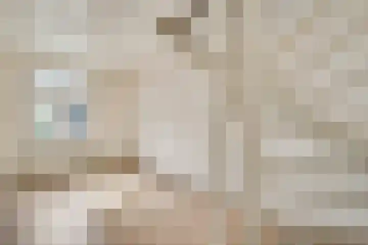 Napoleonsweg 110 Neer thumbnail 21