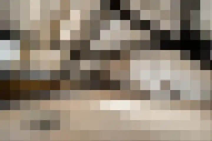 Napoleonsweg 110 Neer thumbnail 23