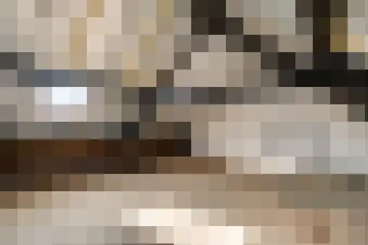 Napoleonsweg 110 Neer thumbnail 24
