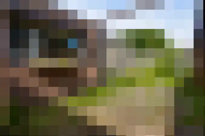 Napoleonsweg 110 Neer thumbnail 25
