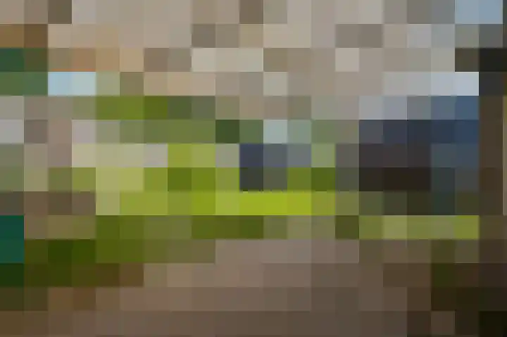 Napoleonsweg 110 Neer thumbnail 26