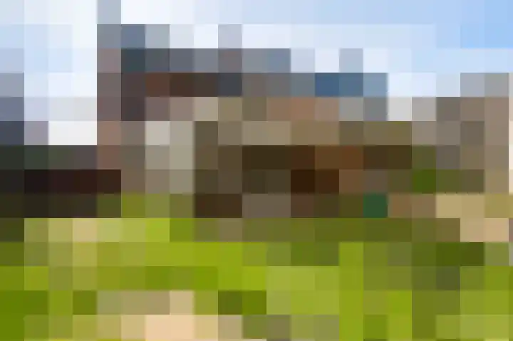 Napoleonsweg 110 Neer thumbnail 27