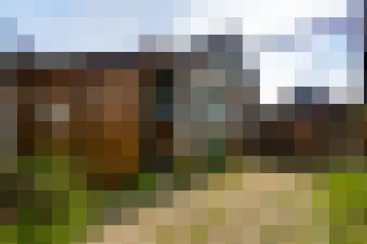 Napoleonsweg 110 Neer thumbnail 28