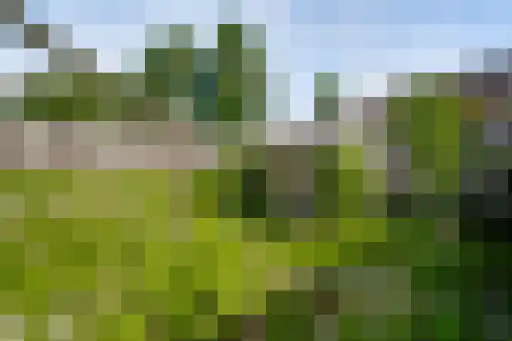 Napoleonsweg 110 Neer thumbnail 29