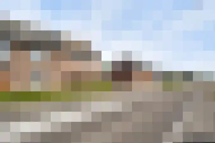 Napoleonsweg 110 Neer thumbnail 30