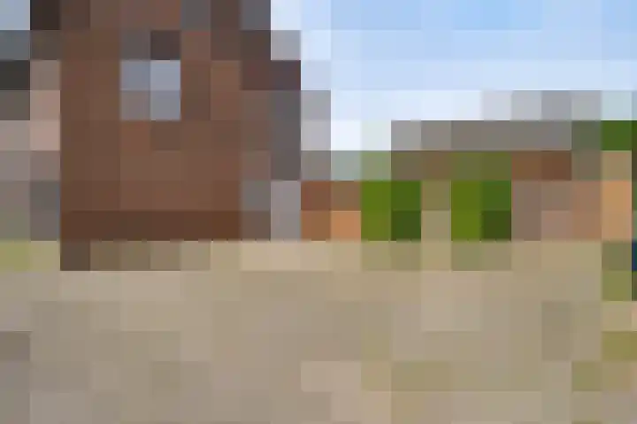 Napoleonsweg 110 Neer thumbnail 36