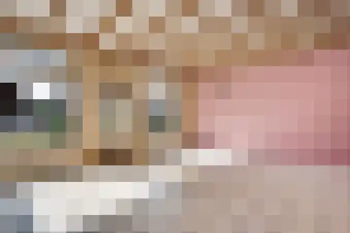 Napoleonsweg 110 Neer thumbnail 8