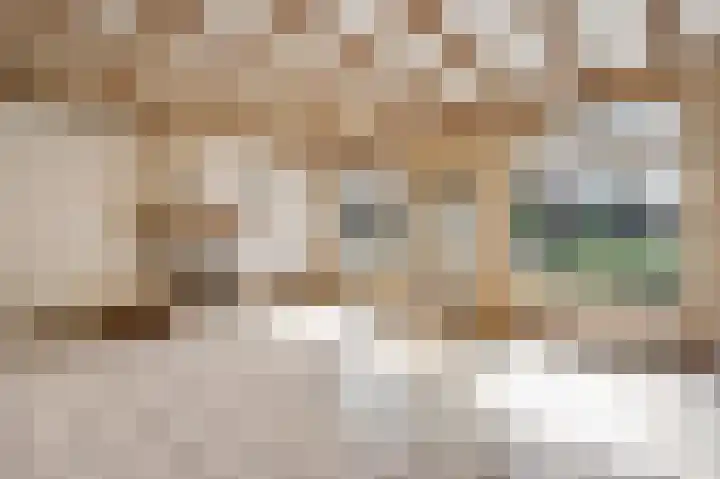 Napoleonsweg 110 Neer thumbnail 9