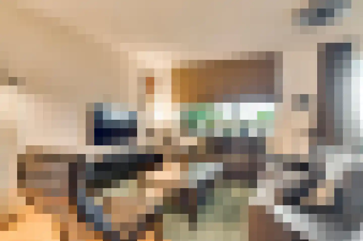 Napoleonsweg 128 m Neer thumbnail 11