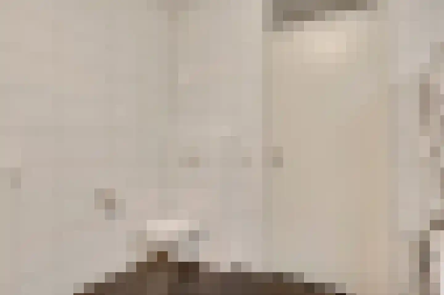 Napoleonsweg 128 m Neer thumbnail 17
