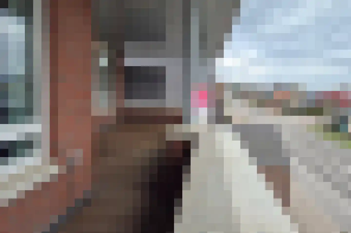Napoleonsweg 128 m Neer thumbnail 22