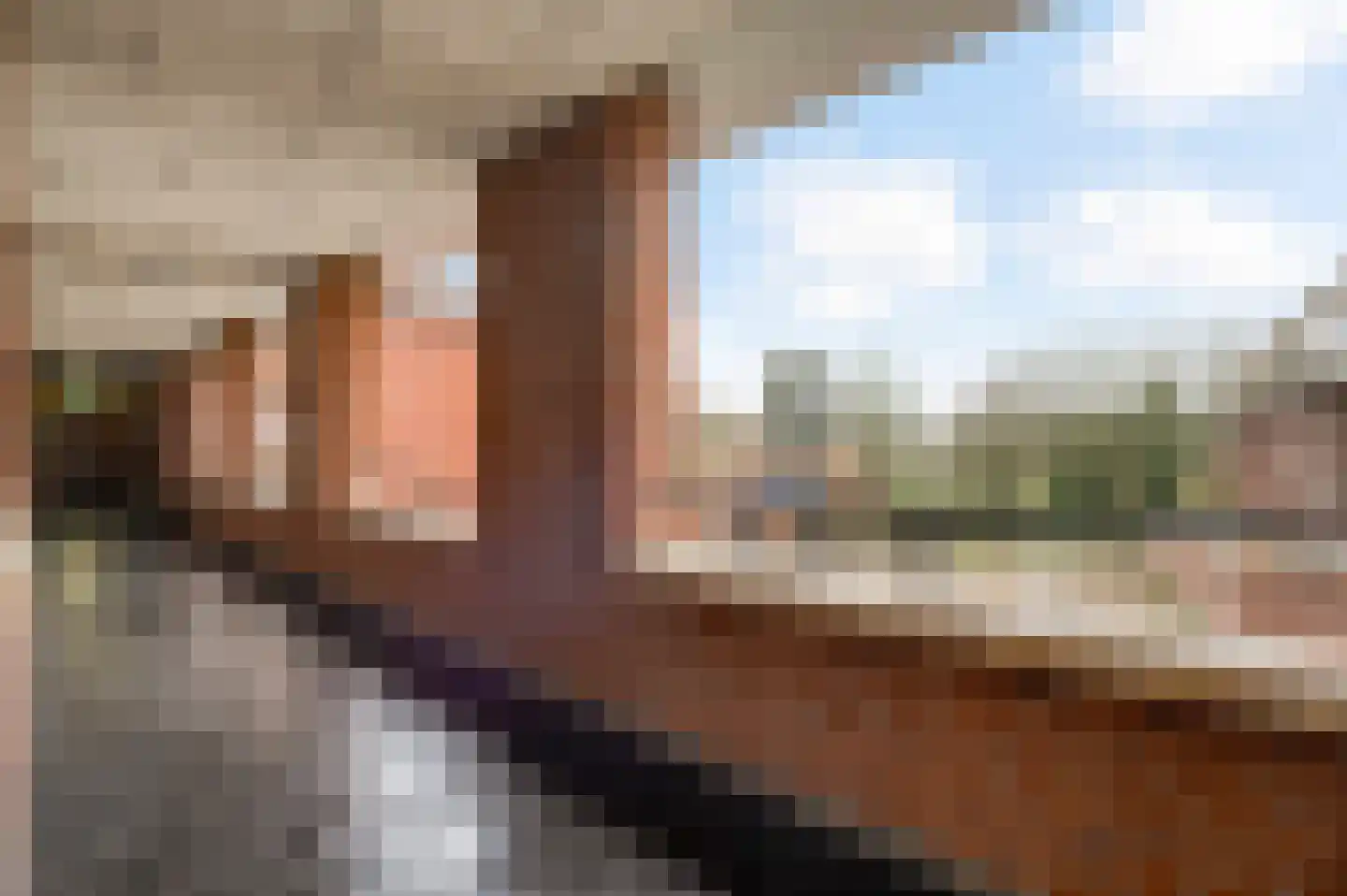 Napoleonsweg 128 m Neer thumbnail 23