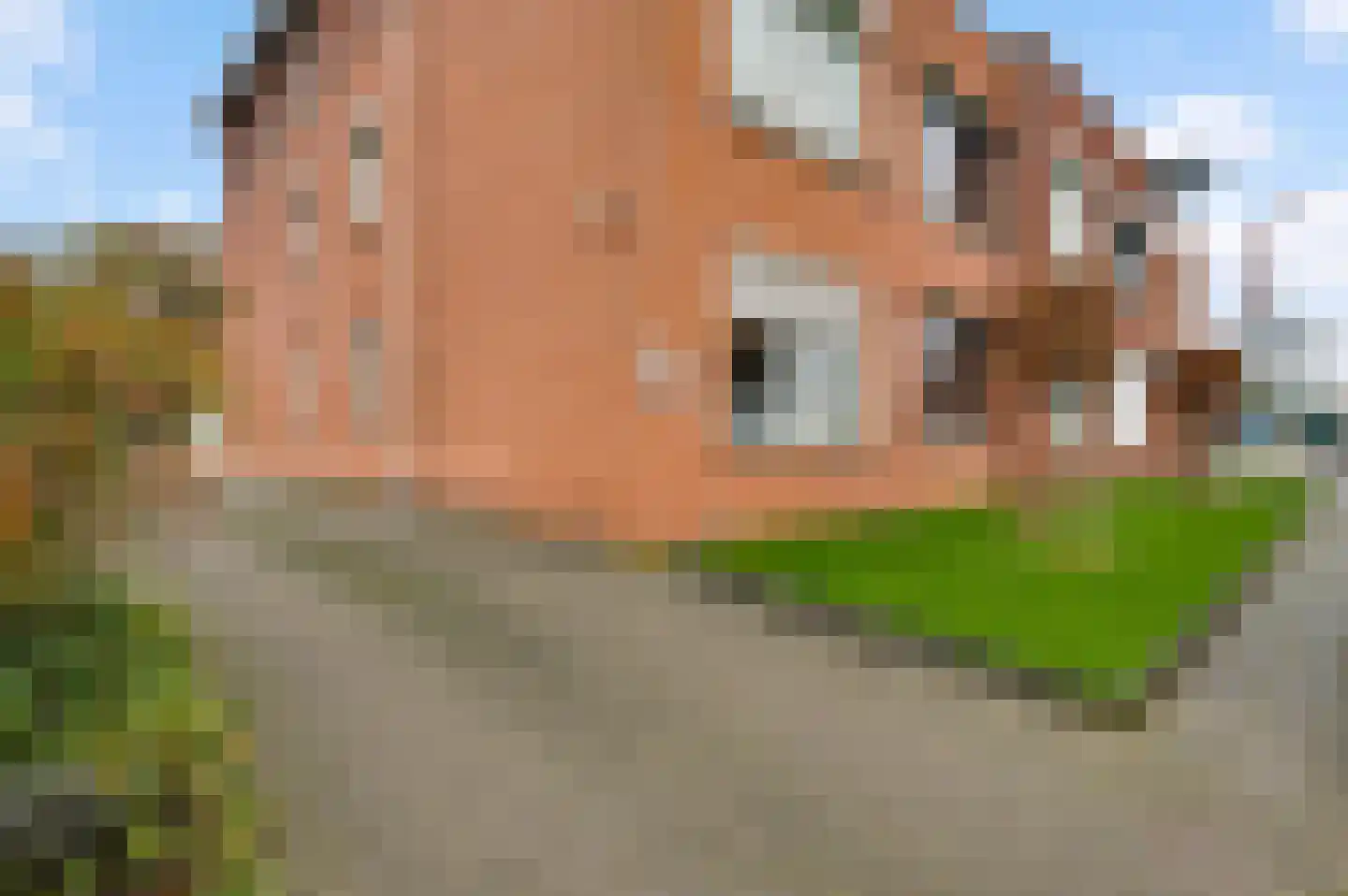 Napoleonsweg 128 m Neer thumbnail 26
