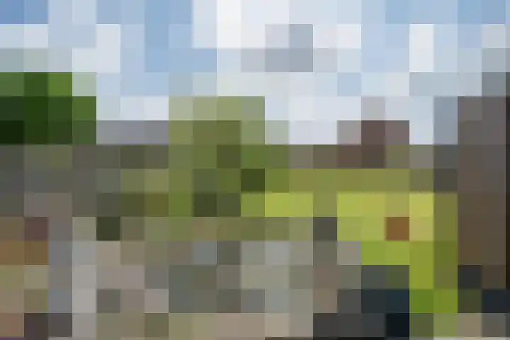 Napoleonsweg 17 Neer thumbnail 23