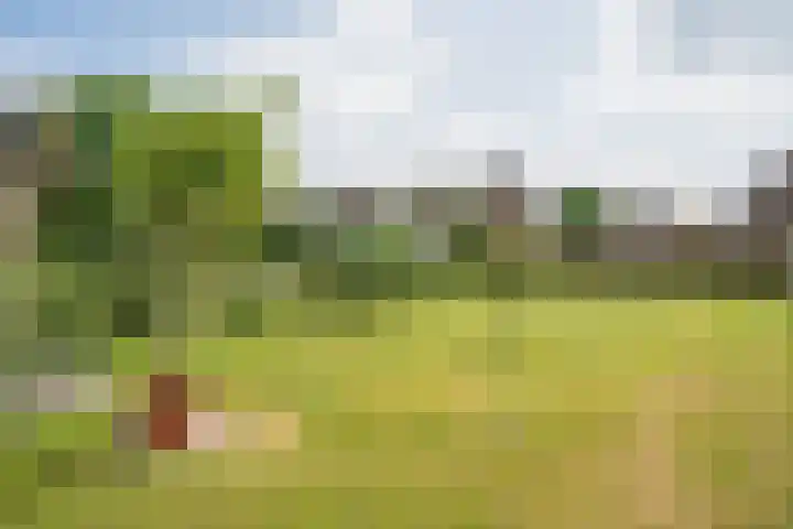 Napoleonsweg 17 Neer thumbnail 26