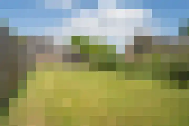 Napoleonsweg 17 Neer thumbnail 27