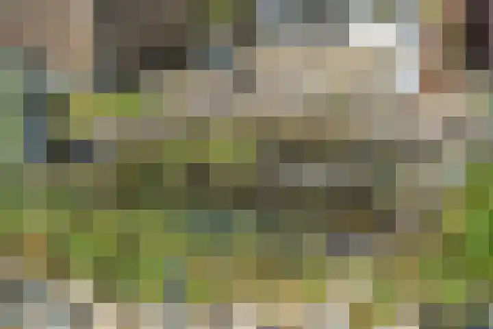 Napoleonsweg 17 Neer thumbnail 31