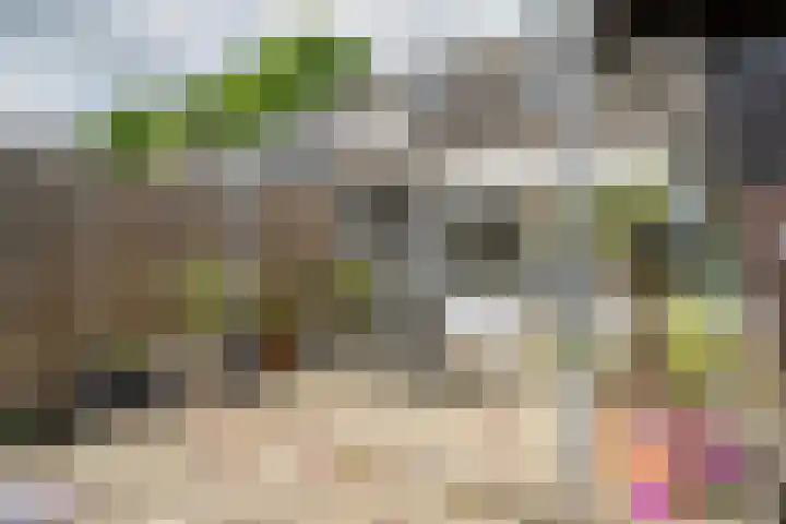 Napoleonsweg 17 Neer thumbnail 32