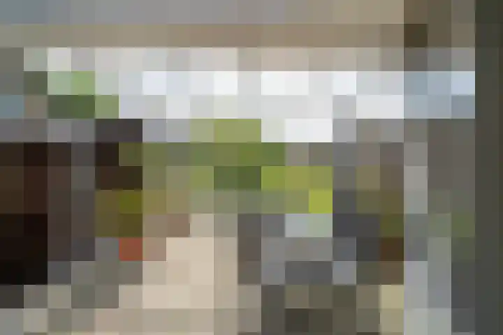 Napoleonsweg 17 Neer thumbnail 34