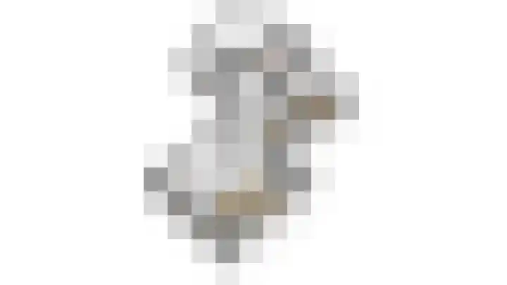 Napoleonsweg 17 Neer thumbnail 46