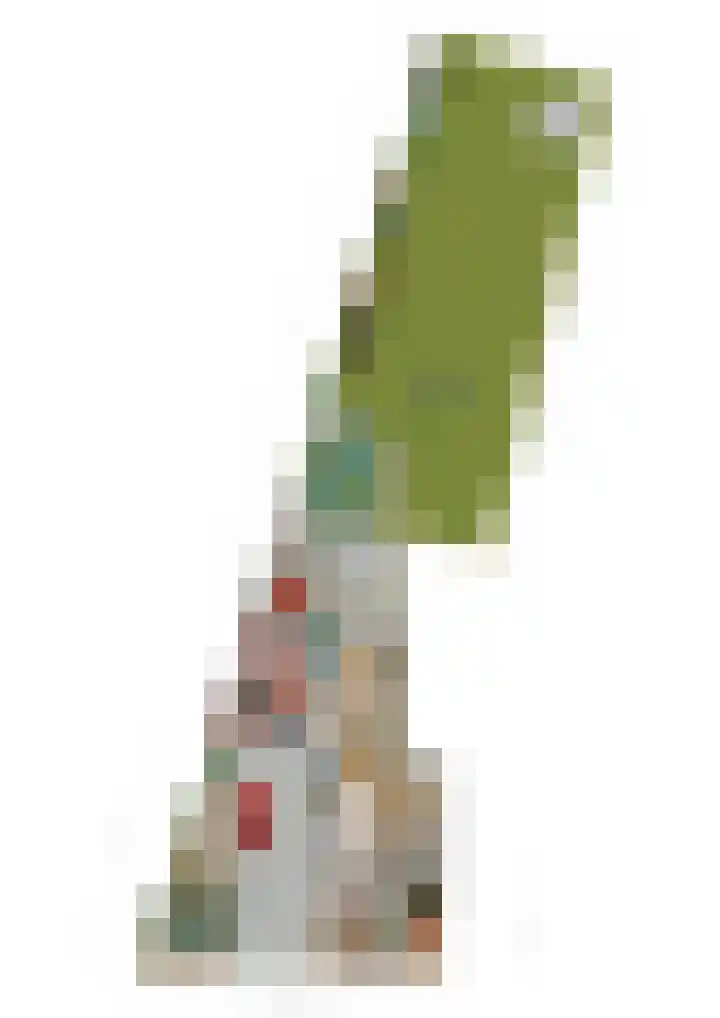 Napoleonsweg 17 Neer thumbnail 48