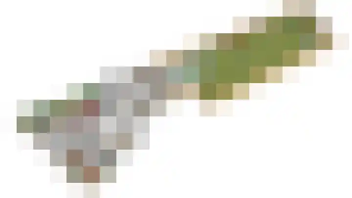 Napoleonsweg 17 Neer thumbnail 49