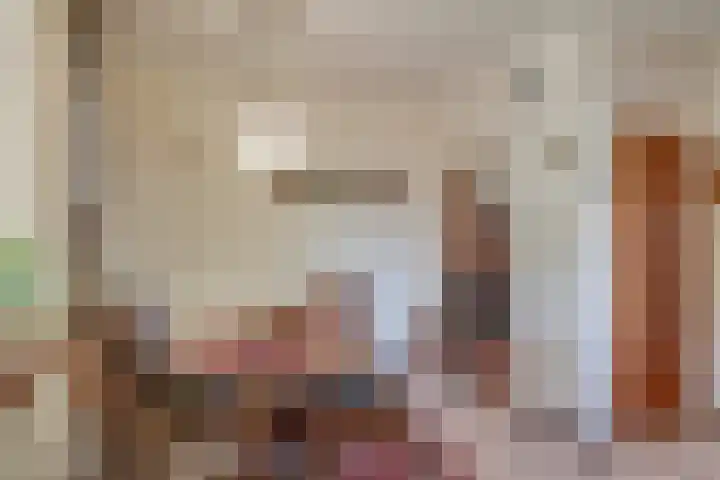 Napoleonsweg 17 Neer thumbnail 8