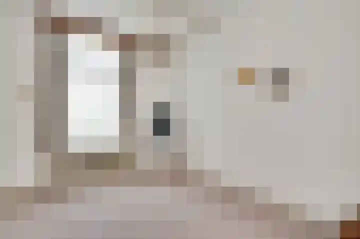 Napoleonsweg 38 Neer thumbnail 10