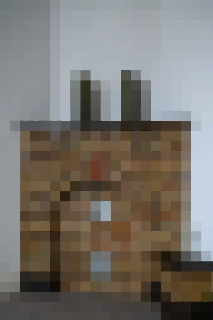 Napoleonsweg 38 Neer thumbnail 12