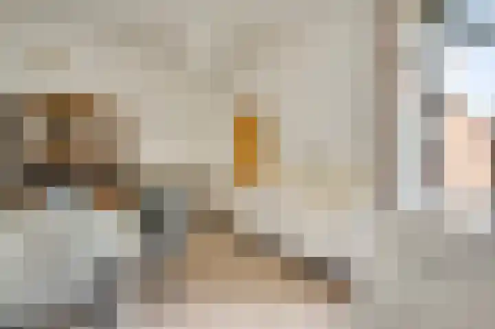 Napoleonsweg 38 Neer thumbnail 17