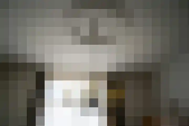 Napoleonsweg 38 Neer thumbnail 20