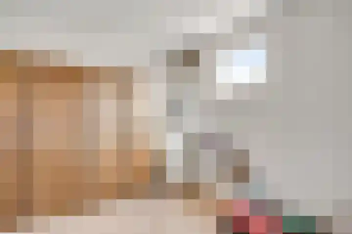 Napoleonsweg 38 Neer thumbnail 27