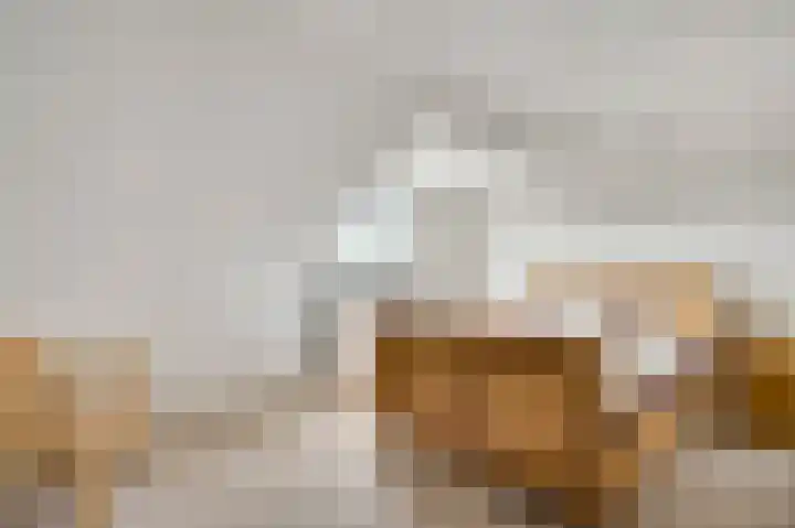 Napoleonsweg 38 Neer thumbnail 30