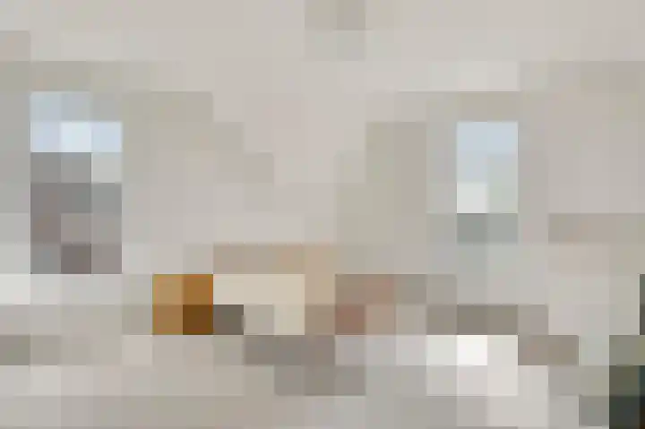 Napoleonsweg 38 Neer thumbnail 32