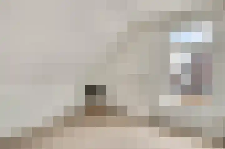 Napoleonsweg 38 Neer thumbnail 34