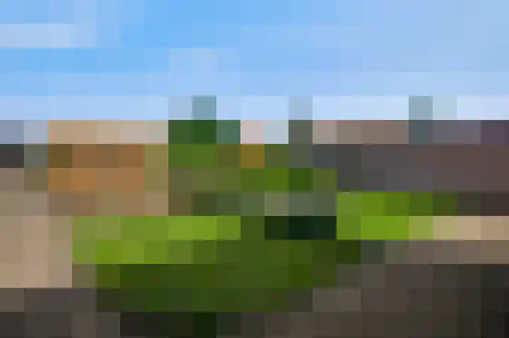 Napoleonsweg 38 Neer thumbnail 37