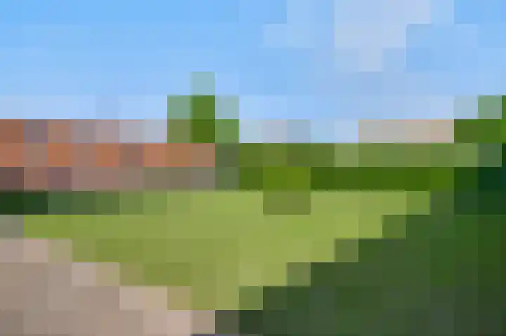 Napoleonsweg 38 Neer thumbnail 39