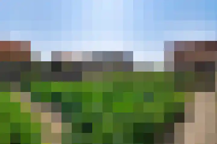 Napoleonsweg 38 Neer thumbnail 41