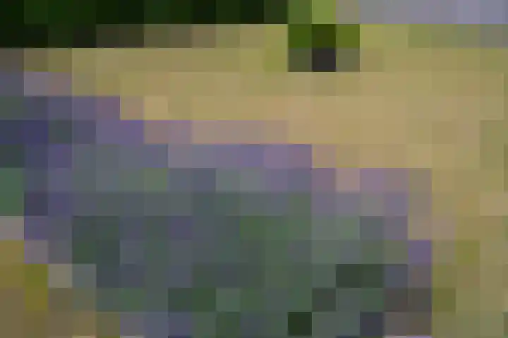 Napoleonsweg 38 Neer thumbnail 42