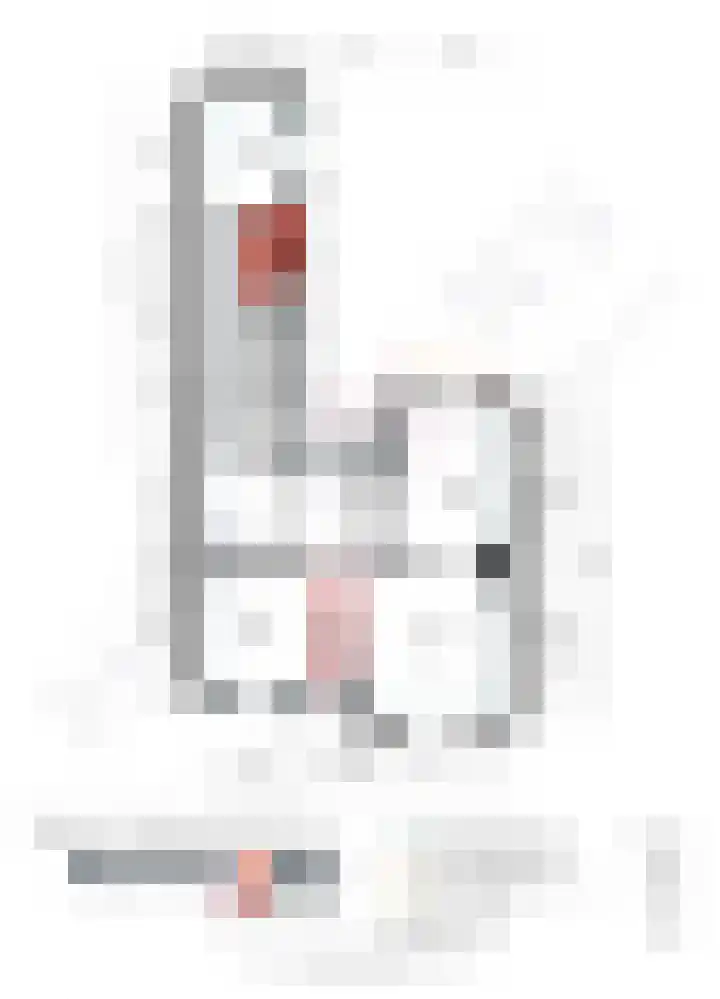 Napoleonsweg 38 Neer thumbnail 52