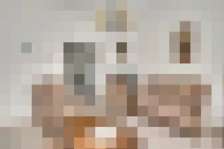 Napoleonsweg 38 Neer thumbnail 7
