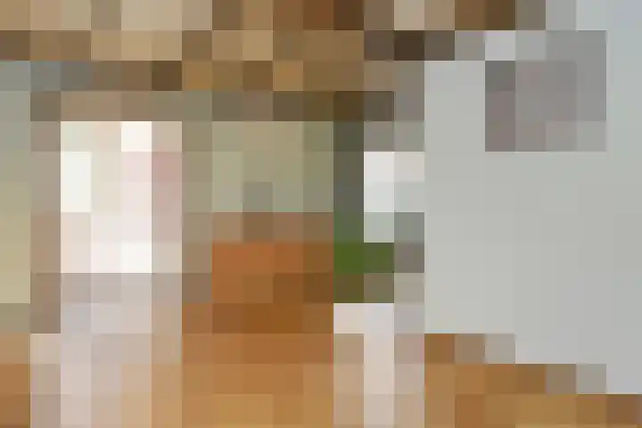 Napoleonsweg 5 Haelen thumbnail 10