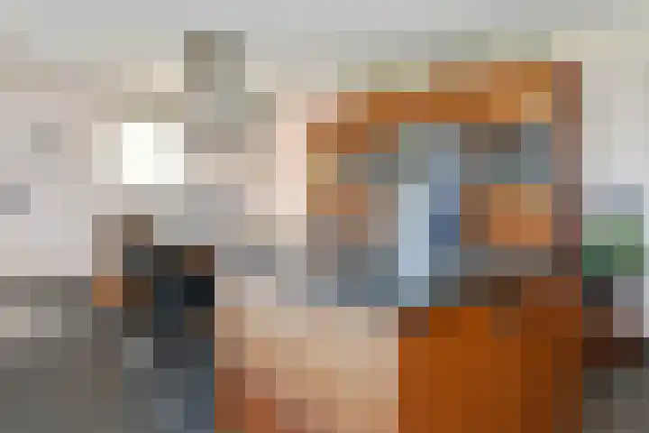 Napoleonsweg 5 Haelen thumbnail 12