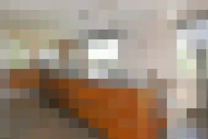 Napoleonsweg 5 Haelen thumbnail 14