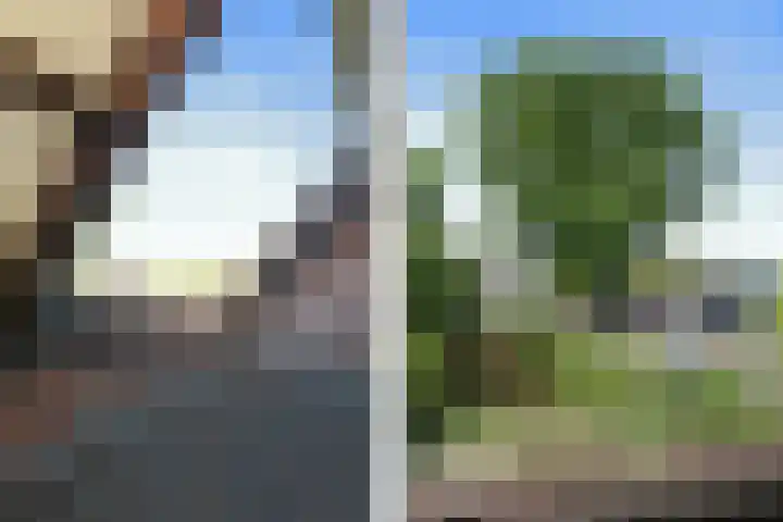 Napoleonsweg 5 Haelen thumbnail 23