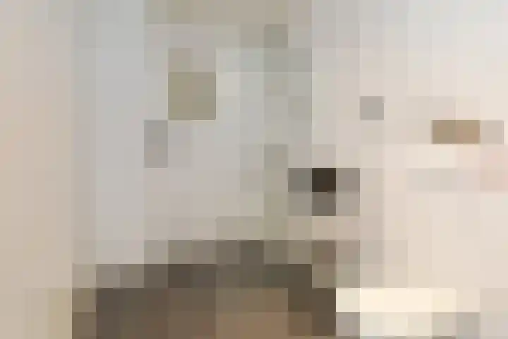 Napoleonsweg 5 Haelen thumbnail 29