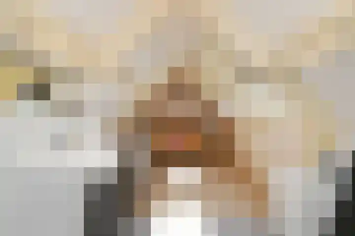 Napoleonsweg 5 Haelen thumbnail 34
