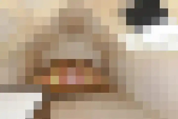Napoleonsweg 5 Haelen thumbnail 35