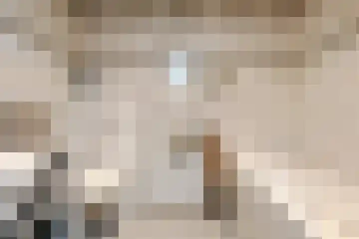 Napoleonsweg 5 Haelen thumbnail 37